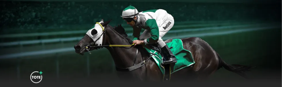 总决赛辽宁,对决新疆,日巅峰对决,365体育,Bet365,365体育官网,365体育官网,365体育下载