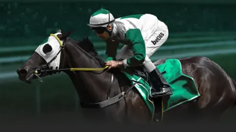 CBA总决赛辽宁对决新疆：15日巅峰对决在即