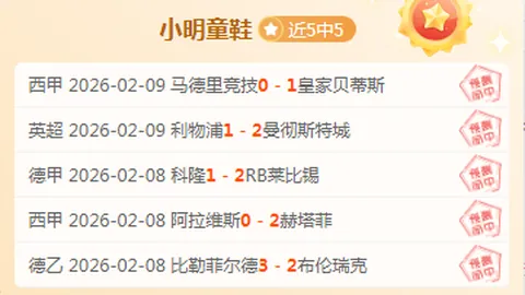 澳超晨场力争胜利，深度剖析焦点赛事亮点