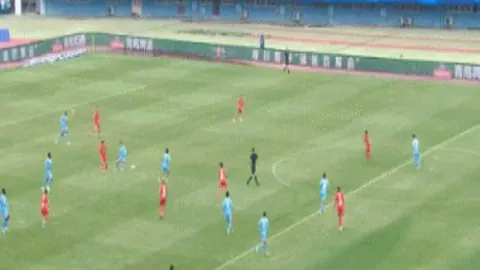 大乐透期号专家推荐：布伦特福德vs埃弗顿质合分析